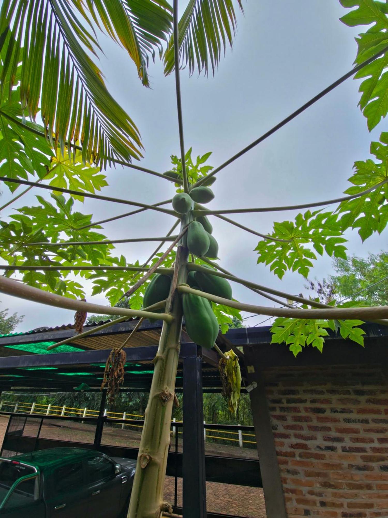 Terra Iguazu Cabanas 푸에르토이과수 외부 사진